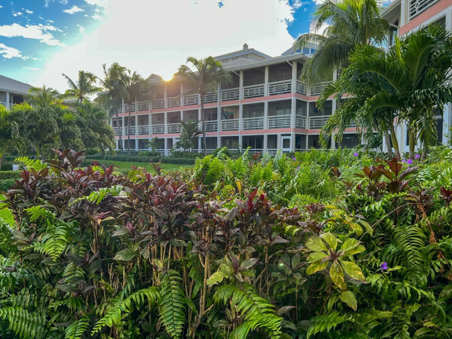 a group of palm trees with a building in the background