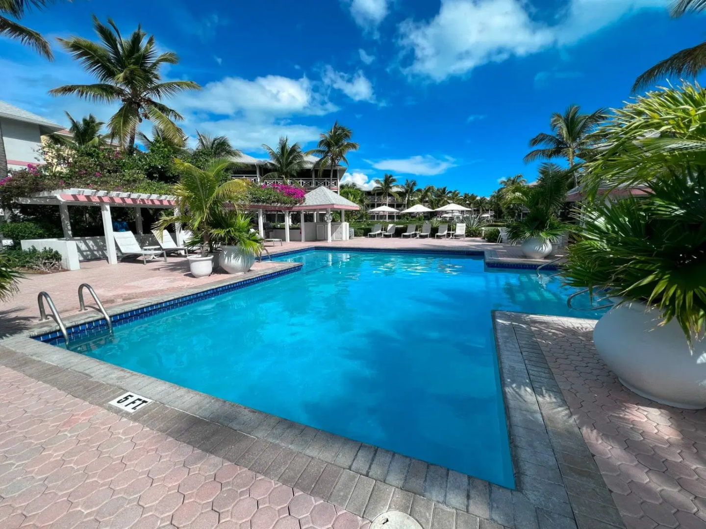 a group of palm trees next to a swimming pool