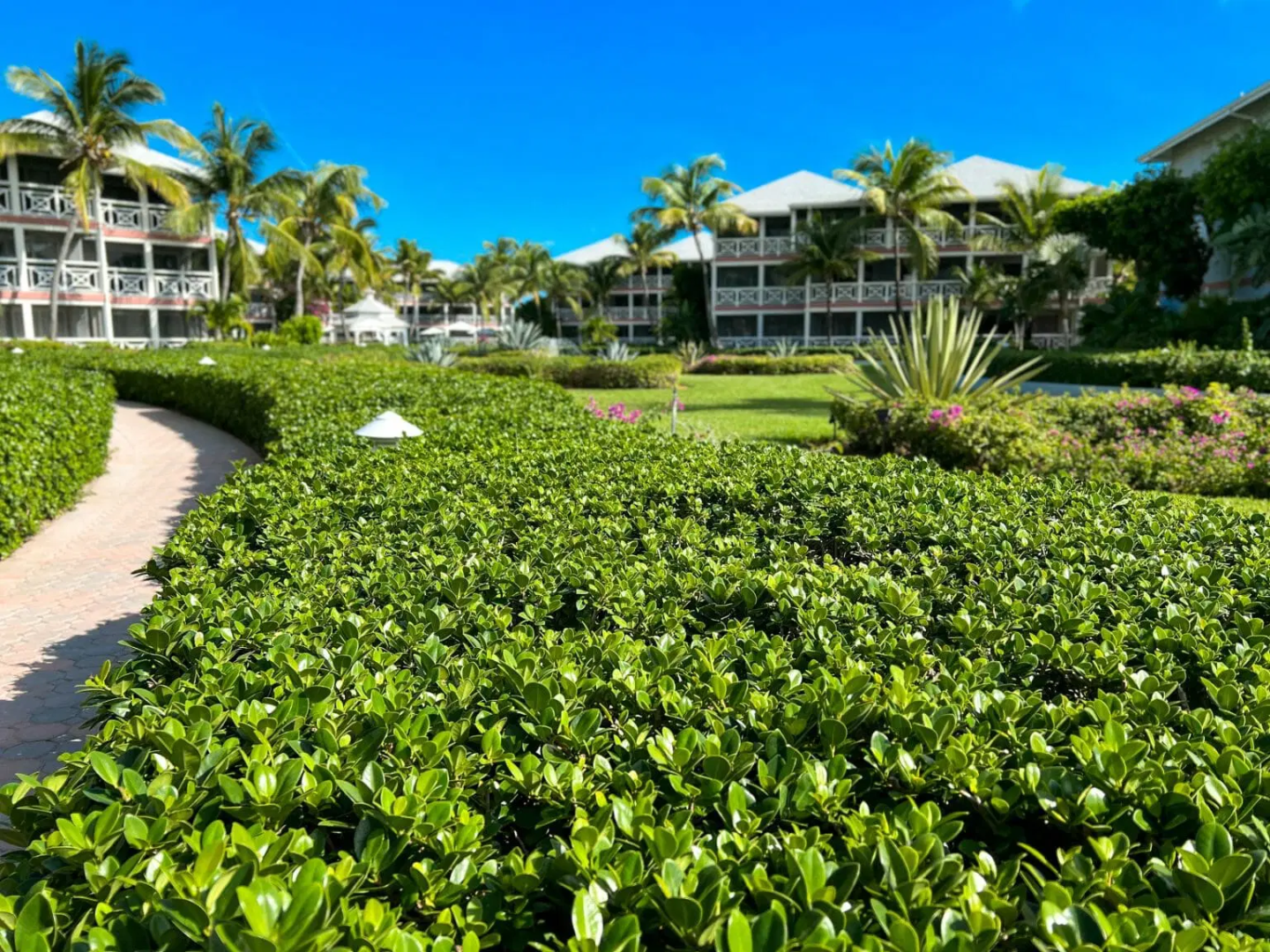 a resort in the middle of a garden