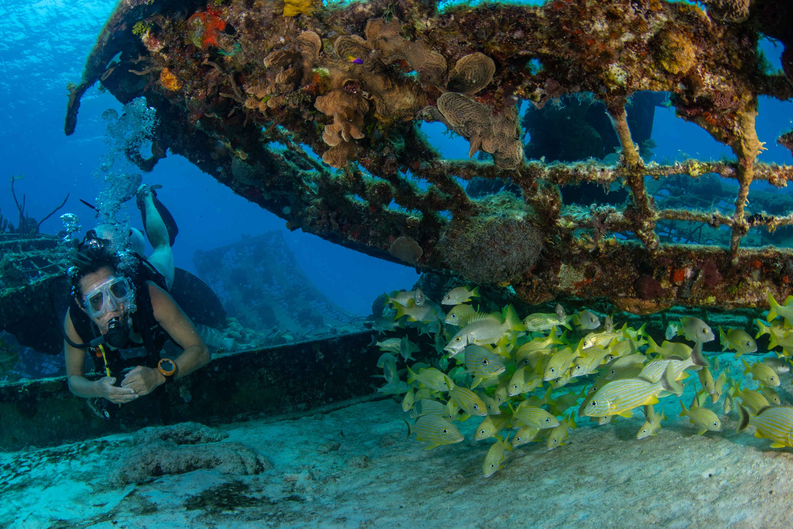 Advanced Open Water Courses in Turks and Caicos | Dive Provo