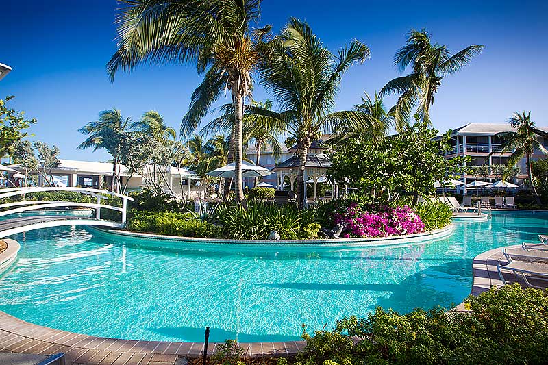 a pool next to a palm tree