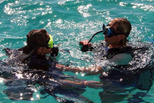 a person swimming in the water