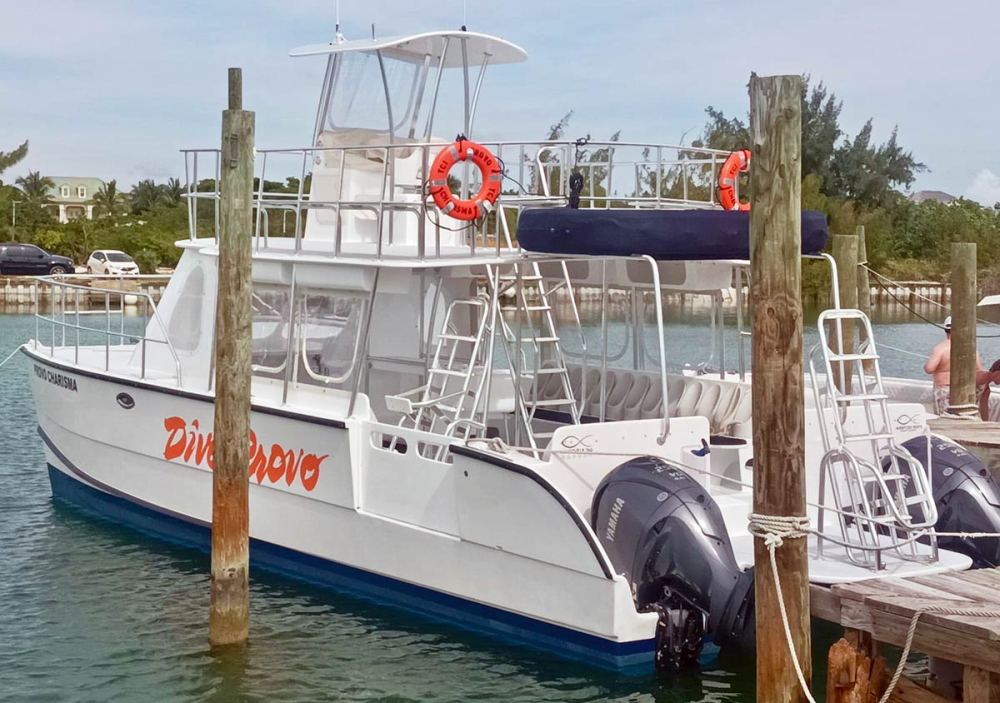 White dive boat docked with red lifebuoys and two outboard motors.