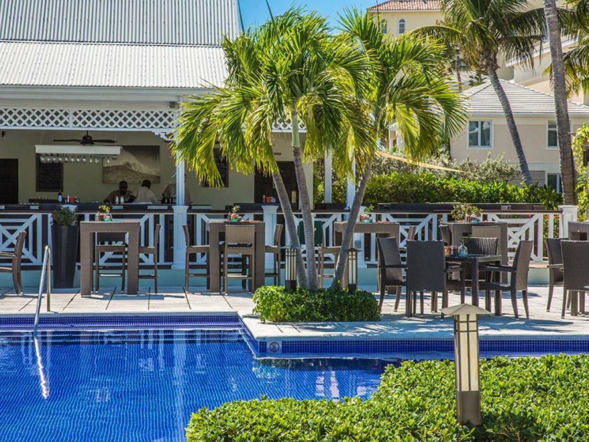 a pool next to a palm tree