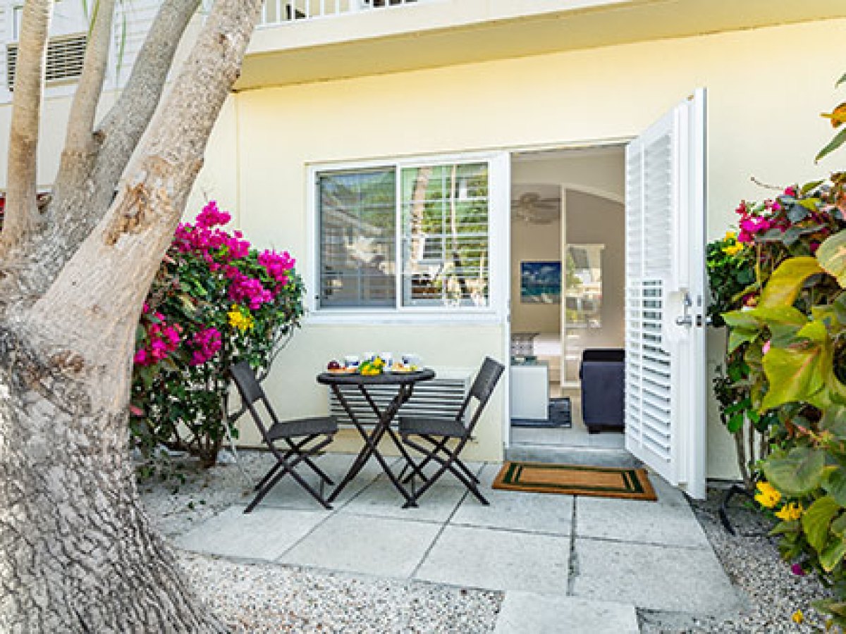 a vase of flowers on a tree